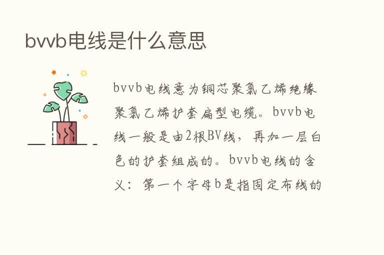 bvvb电线是什么意思