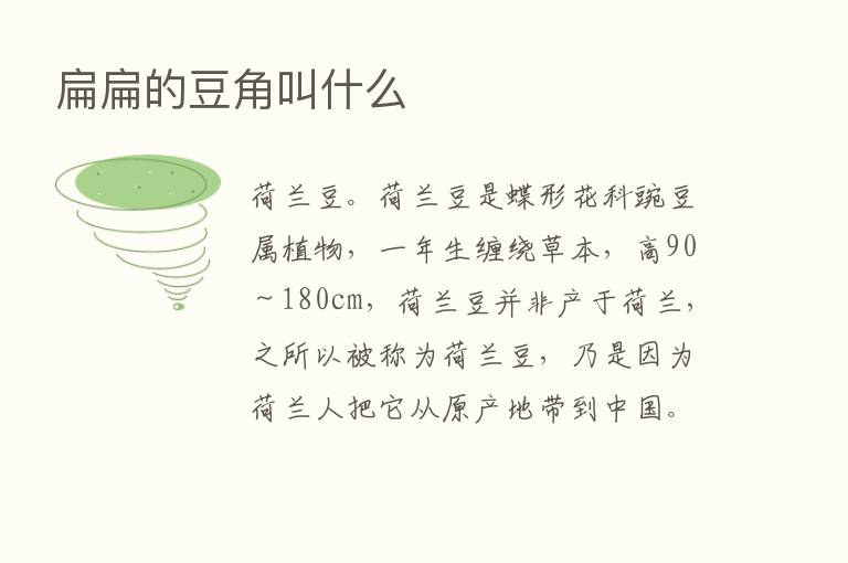 扁扁的豆角叫什么