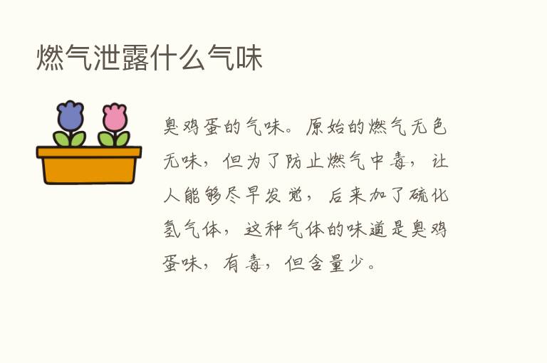 燃气泄露什么气味