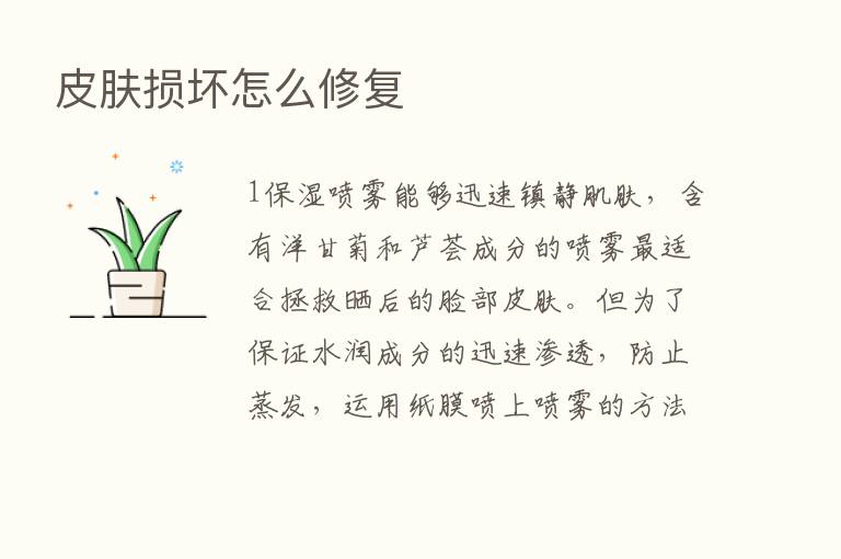 皮肤损坏怎么修复