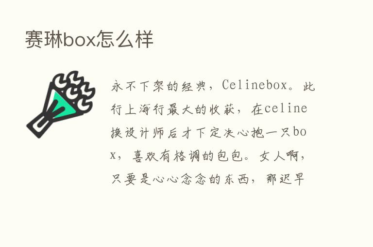 赛琳box怎么样