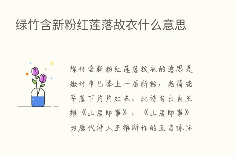 绿竹含新粉红莲落故衣什么意思