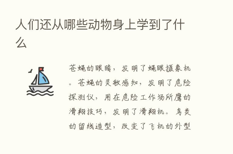 人们还从哪些动物身上学到了什么