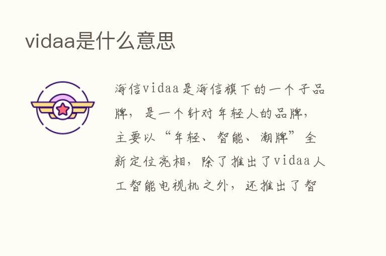 vidaa是什么意思