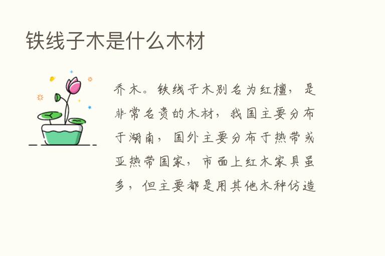 铁线子木是什么木材