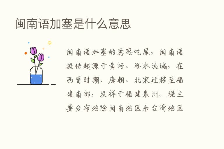 闽南语加塞是什么意思