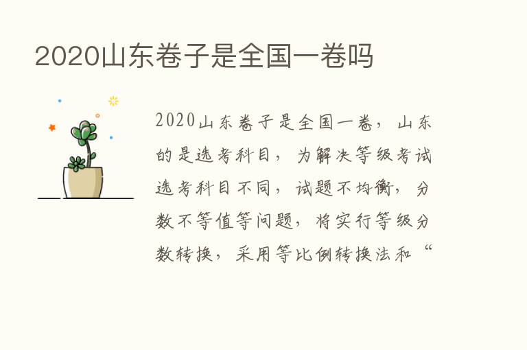 2020山东卷子是全国一卷吗