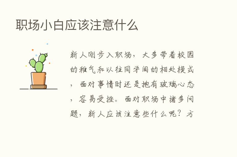 职场小白应该注意什么