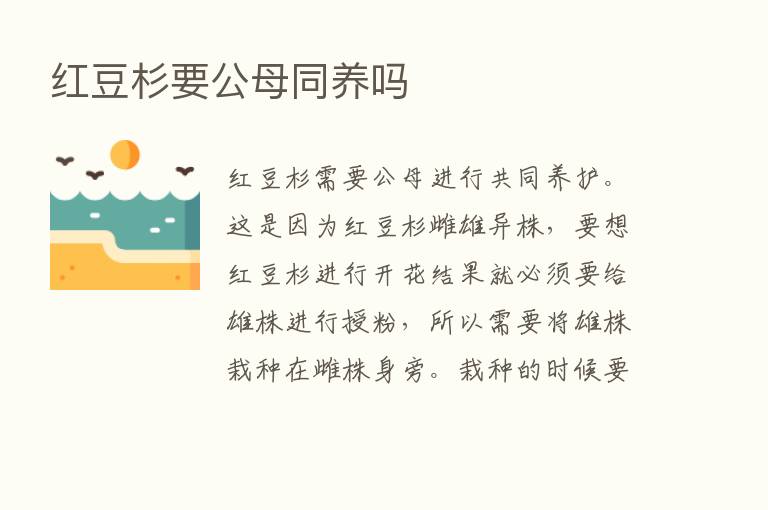 红豆杉要公母同养吗