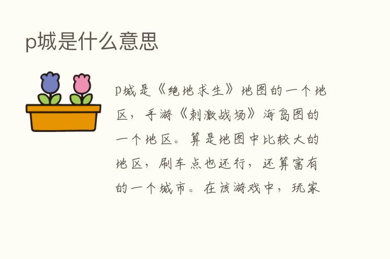 p城是什么意思