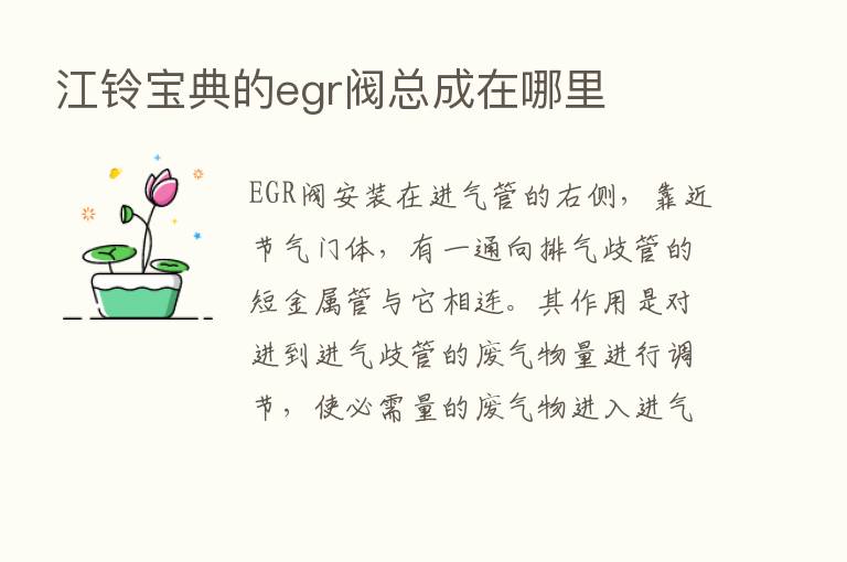 江铃宝典的egr阀总成在哪里