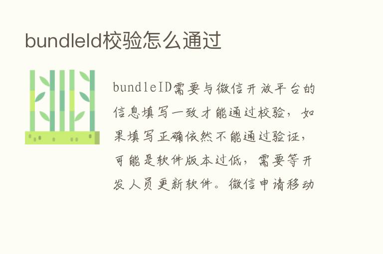 bundleld校验怎么通过