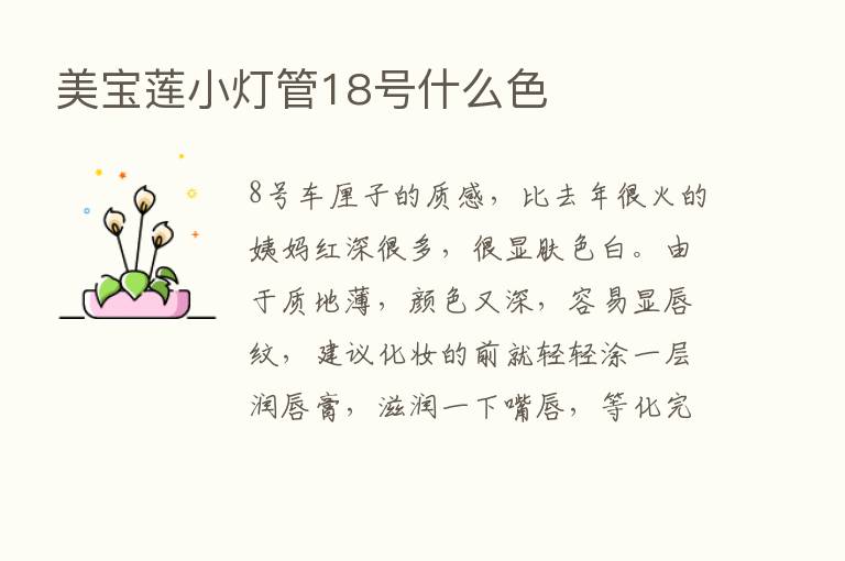 美宝莲小灯管18号什么色