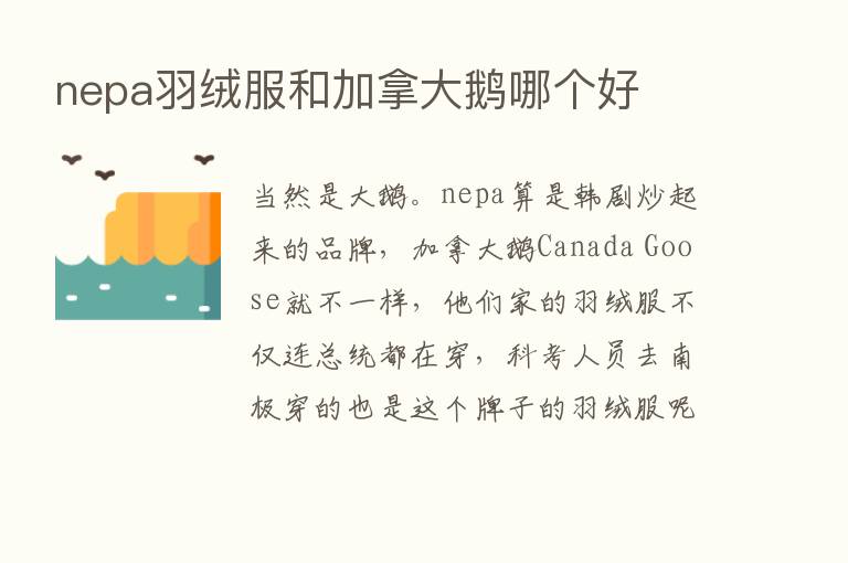 nepa羽绒服和加拿大鹅哪个好