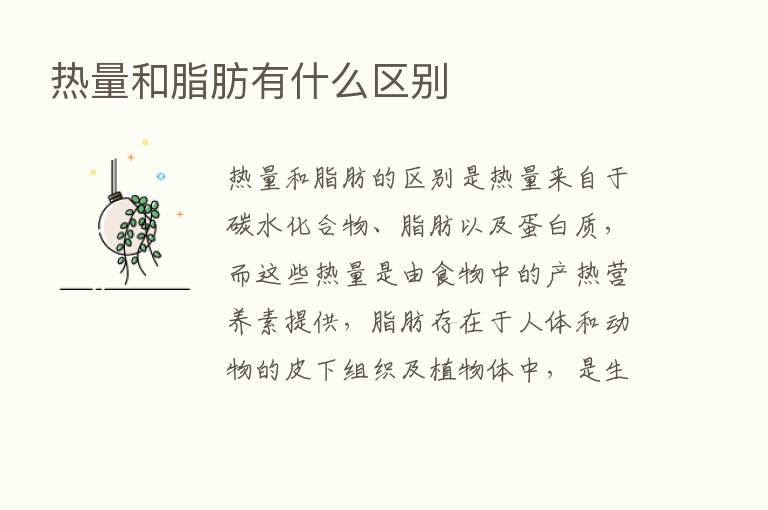 热量和脂肪有什么区别