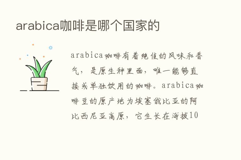 arabica咖啡是哪个国家的