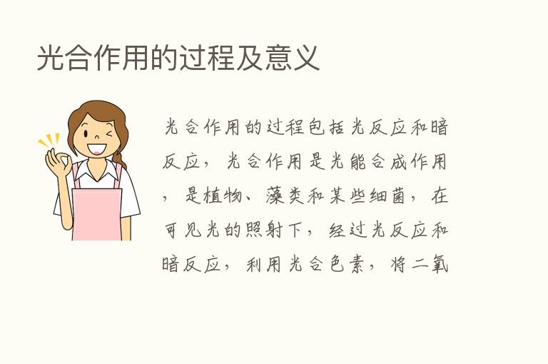 光合作用的过程及意义