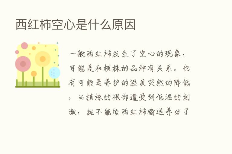 西红柿空心是什么原因