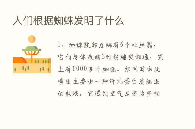 人们根据蜘蛛发明了什么