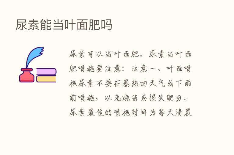 尿素能当叶面肥吗