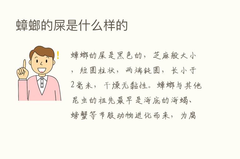 蟑螂的屎是什么样的