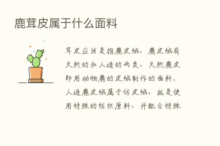 鹿茸皮属于什么面料