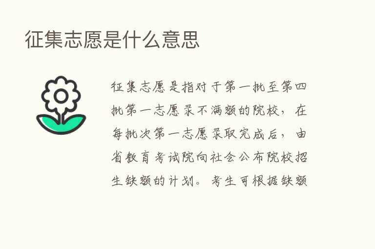 征集志愿是什么意思