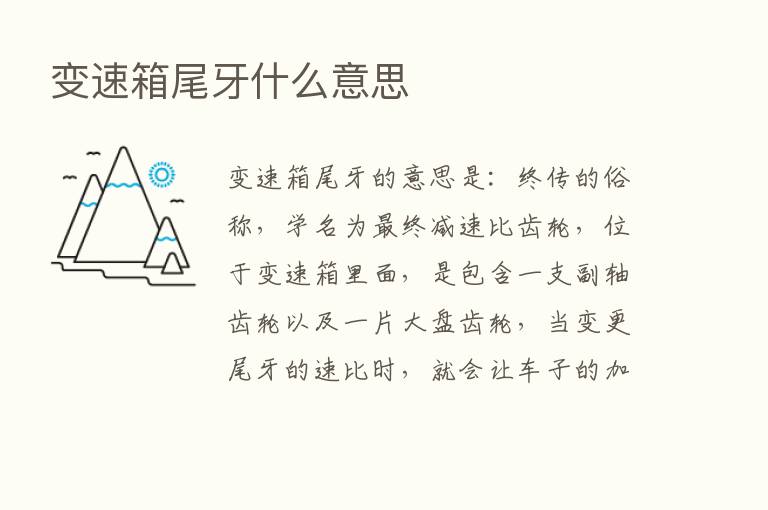 变速箱尾牙什么意思