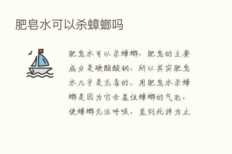 肥皂水可以   蟑螂吗