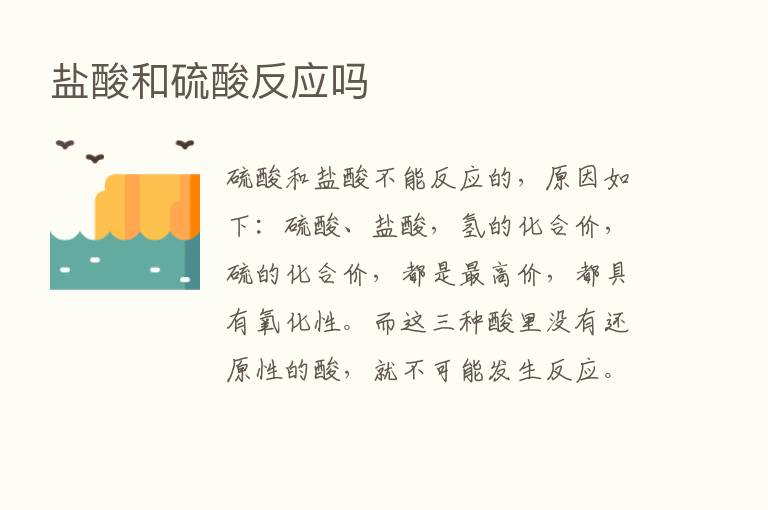 盐酸和硫酸反应吗