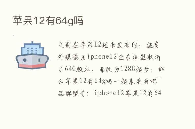 苹果12有64g吗