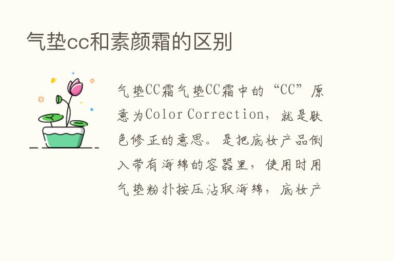 气垫cc和素颜霜的区别