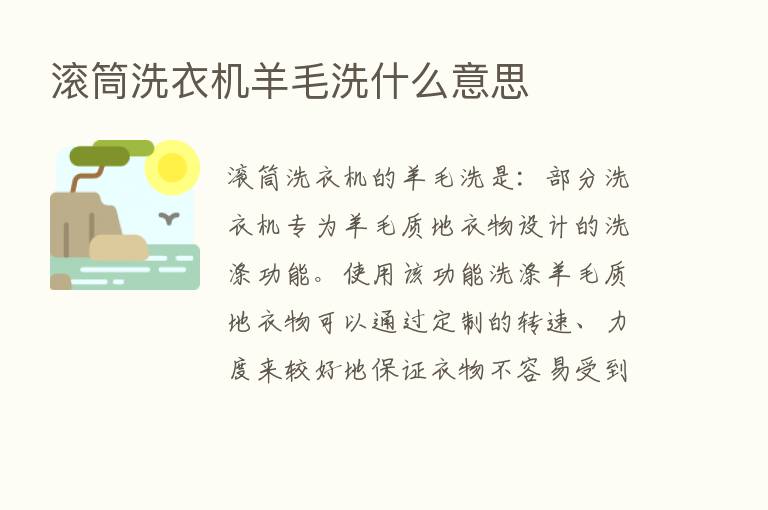 滚筒洗衣机羊毛洗什么意思