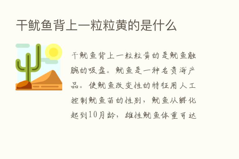 干鱿鱼背上一粒粒黄的是什么