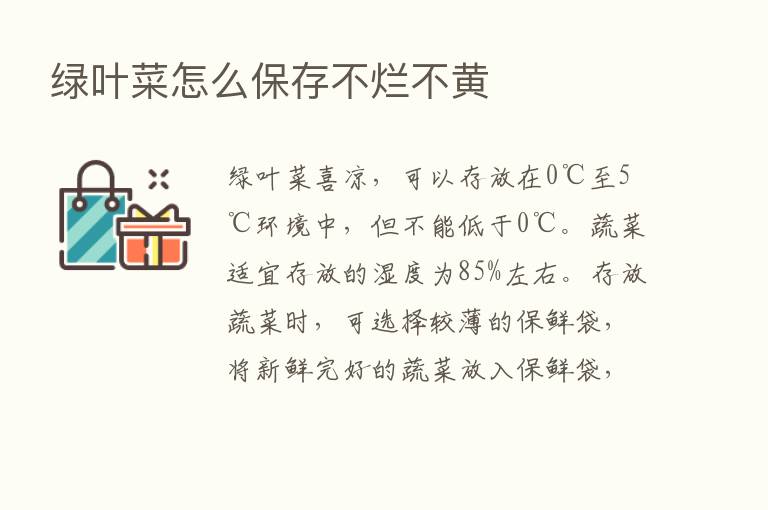 绿叶菜怎么保存不烂不黄