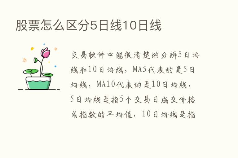 股票怎么区分5日线10日线