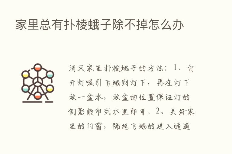 家里总有扑棱蛾子除不掉怎么办