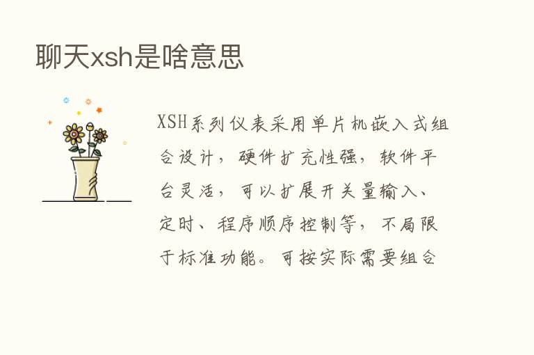 聊天xsh是啥意思