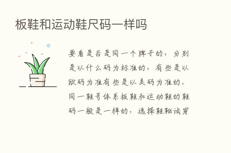 板鞋和运动鞋尺码一样吗