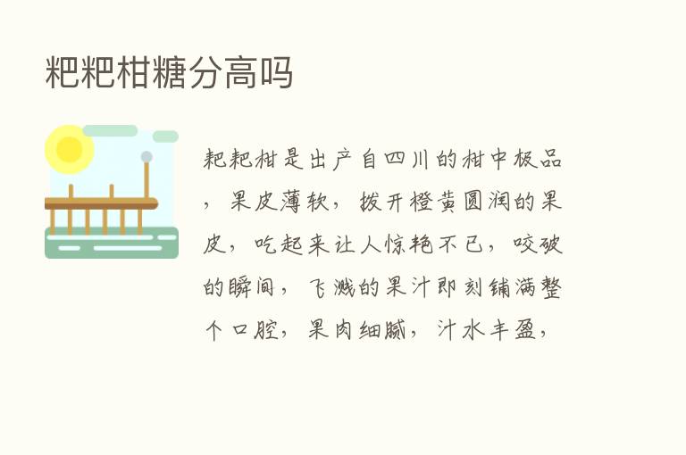 粑粑柑糖分高吗