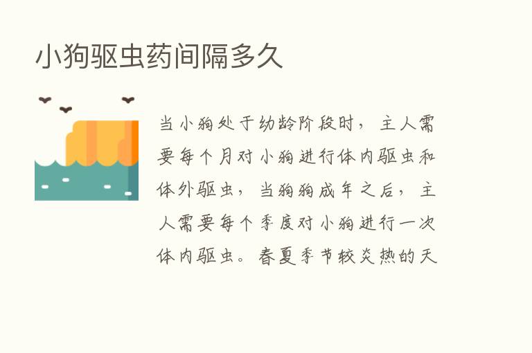 小狗驱虫药间隔多久