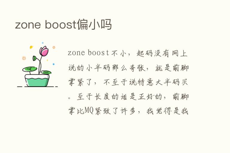 zone boost偏小吗