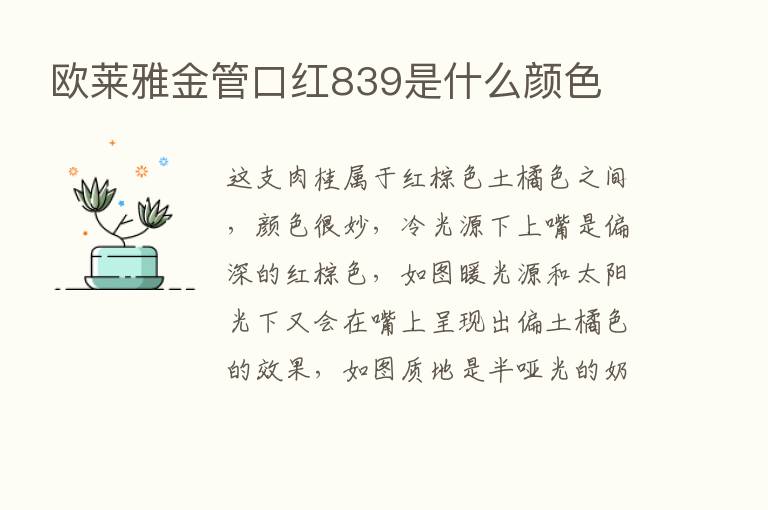 欧莱雅金管口红839是什么颜色