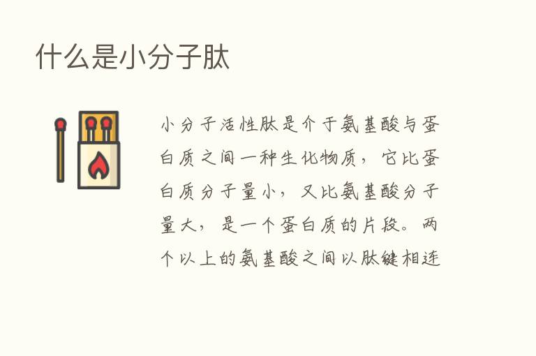 什么是小分子肽