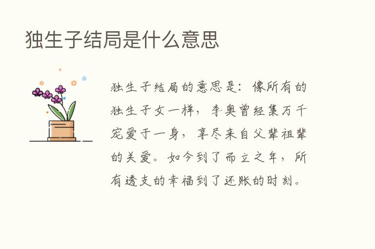 独生子结局是什么意思