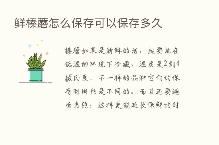 鲜榛蘑怎么保存可以保存多久