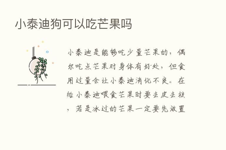 小泰迪狗可以吃芒果吗