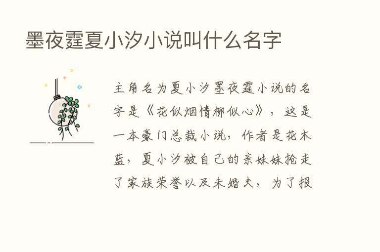 墨夜霆夏小汐小说叫什么名字