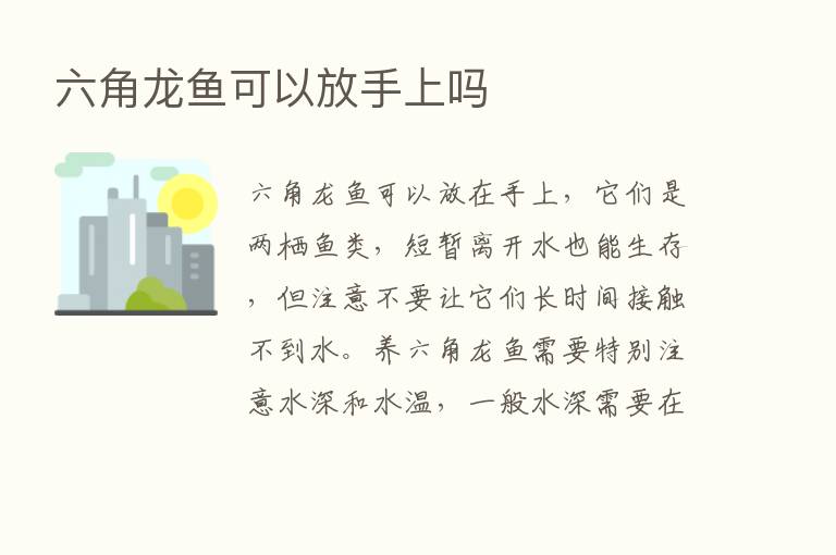 六角龙鱼可以放手上吗