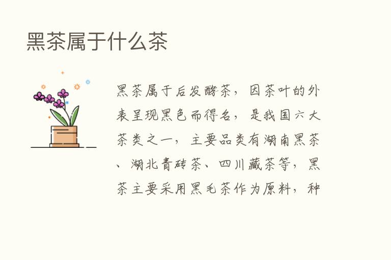 黑茶属于什么茶